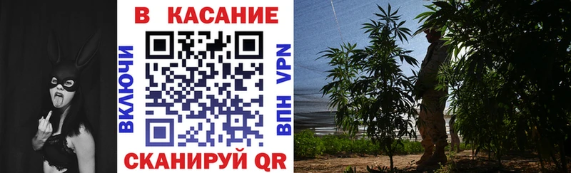 Наркошоп купить Галлюциногенные грибы  Мефедрон  COCAIN  Гашиш  Конопля  Очёр
