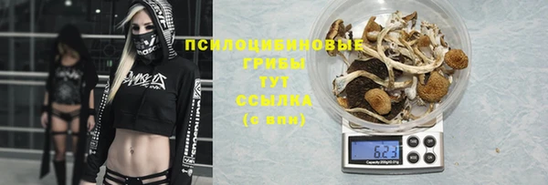 mix Дмитров